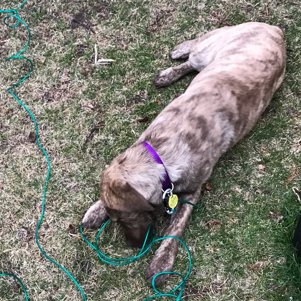 Meet your Posher, Karina